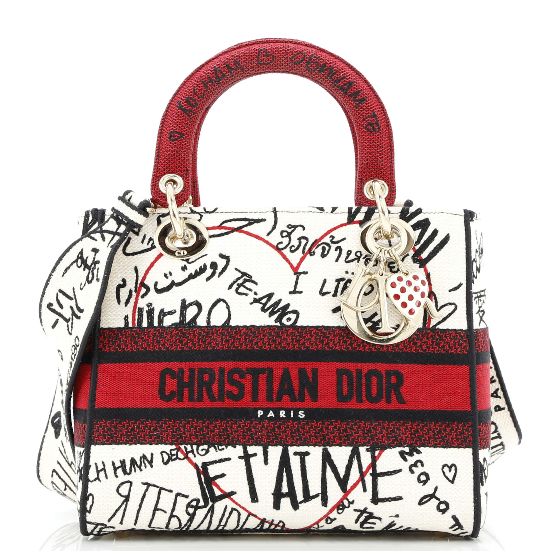 Pre-Loved Christian Dior Lady D-Lite Bag Embroidered Canvas Medium