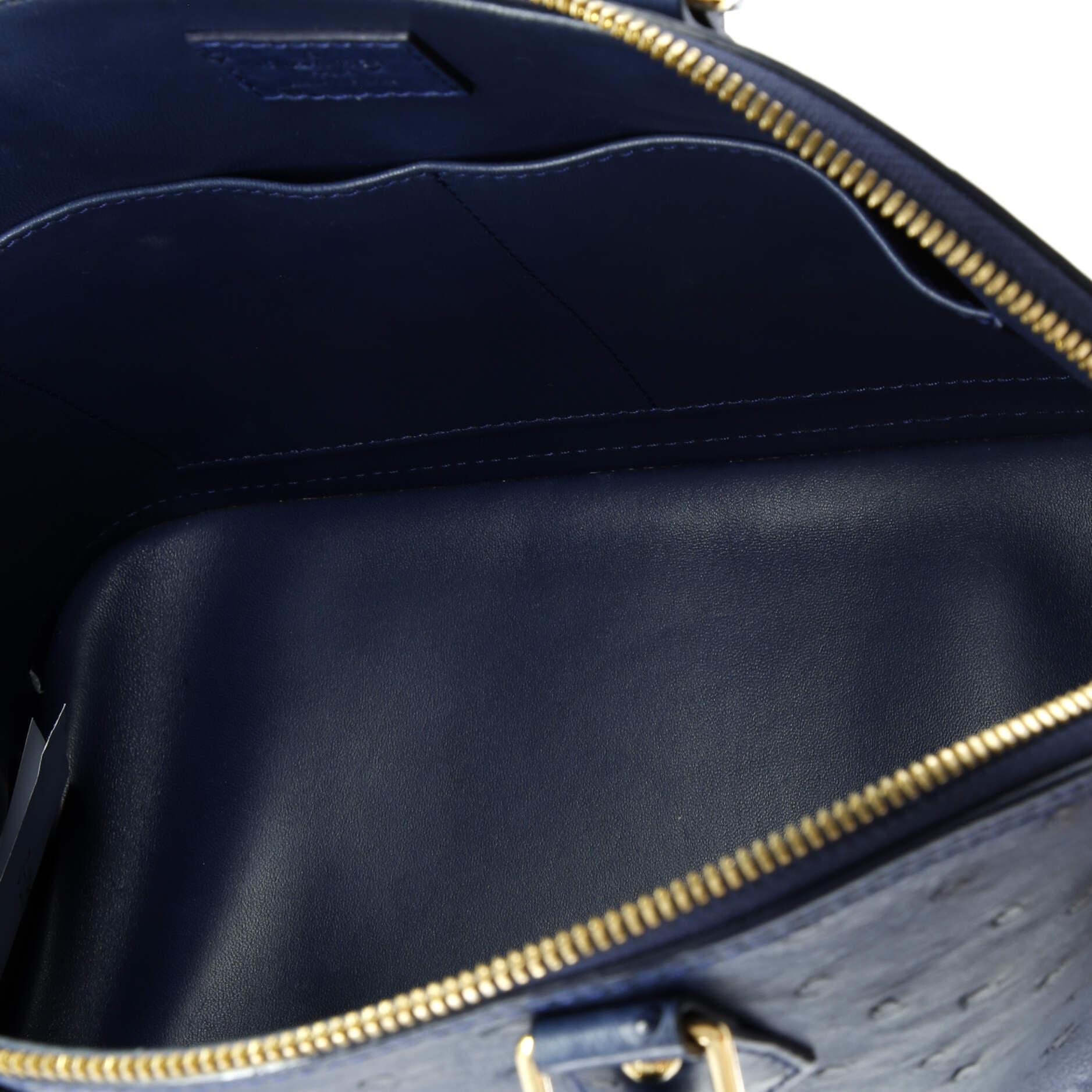 Pre-Loved Louis Vuitton Alma Handbag Ostrich PM - Image 5