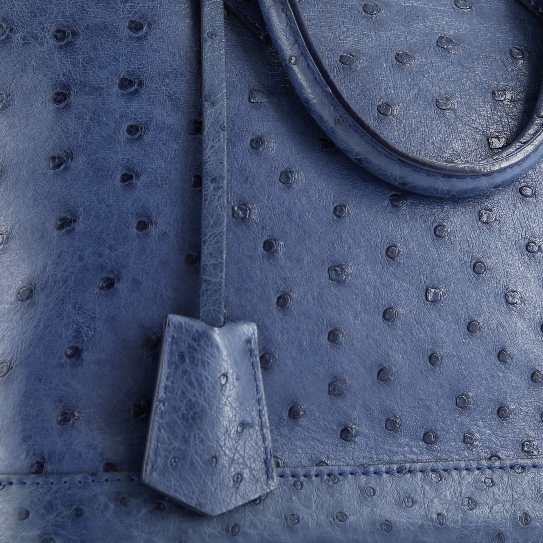 Pre-Loved Louis Vuitton Alma Handbag Ostrich PM - Image 7