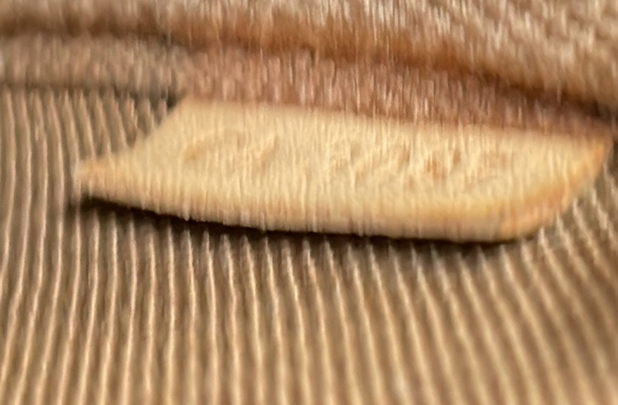 Pre-Loved Louis Vuitton Pochette Accessoires Monogram Canvas - Image 7