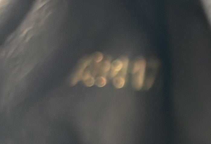 Pre-Loved Louis Vuitton Capucines Bag Leather with Fringe Detail PM - Image 7