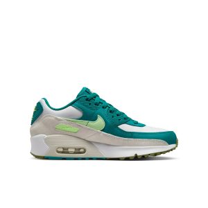 Nike Grade School Air Max 90 LTR Shoes