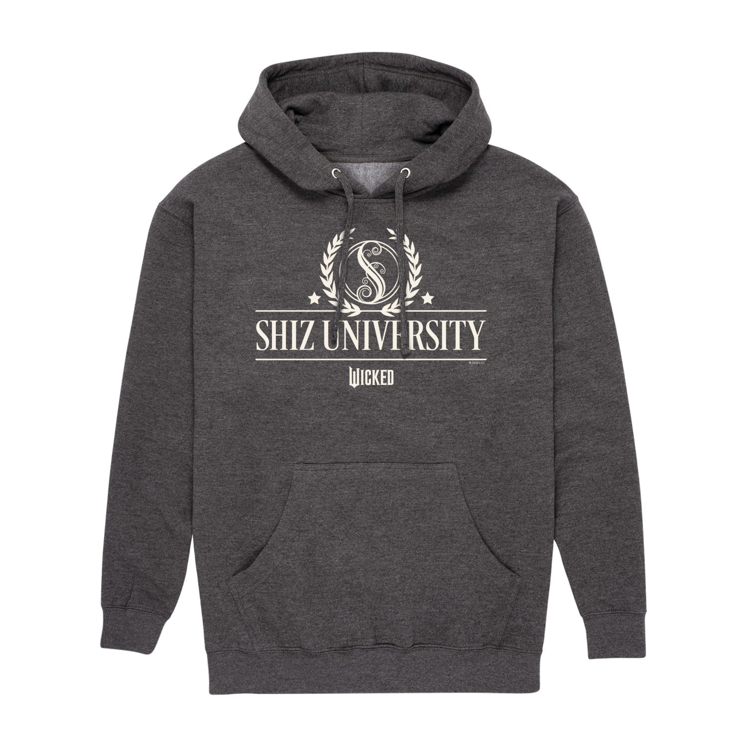 Wicked - Shiz University - Men's Long Sleeve Fleece Pullover Hoodie - Image 4