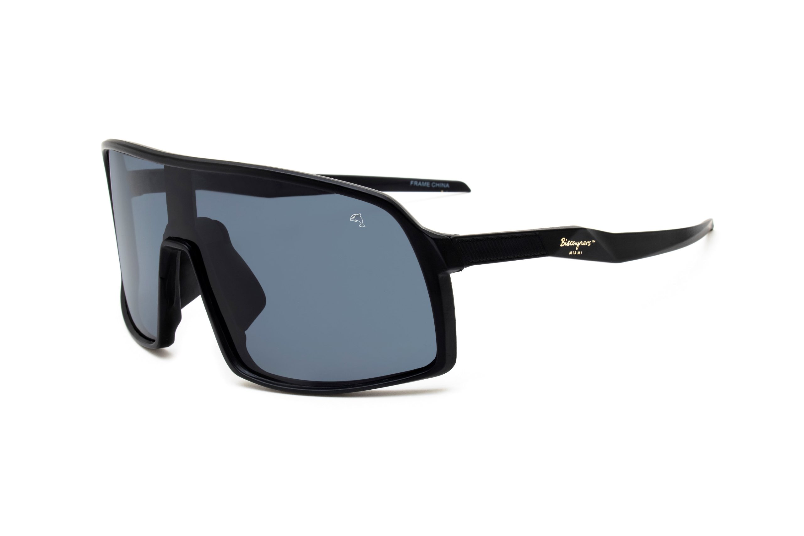 Biscayners Harbor Black Sunglasses