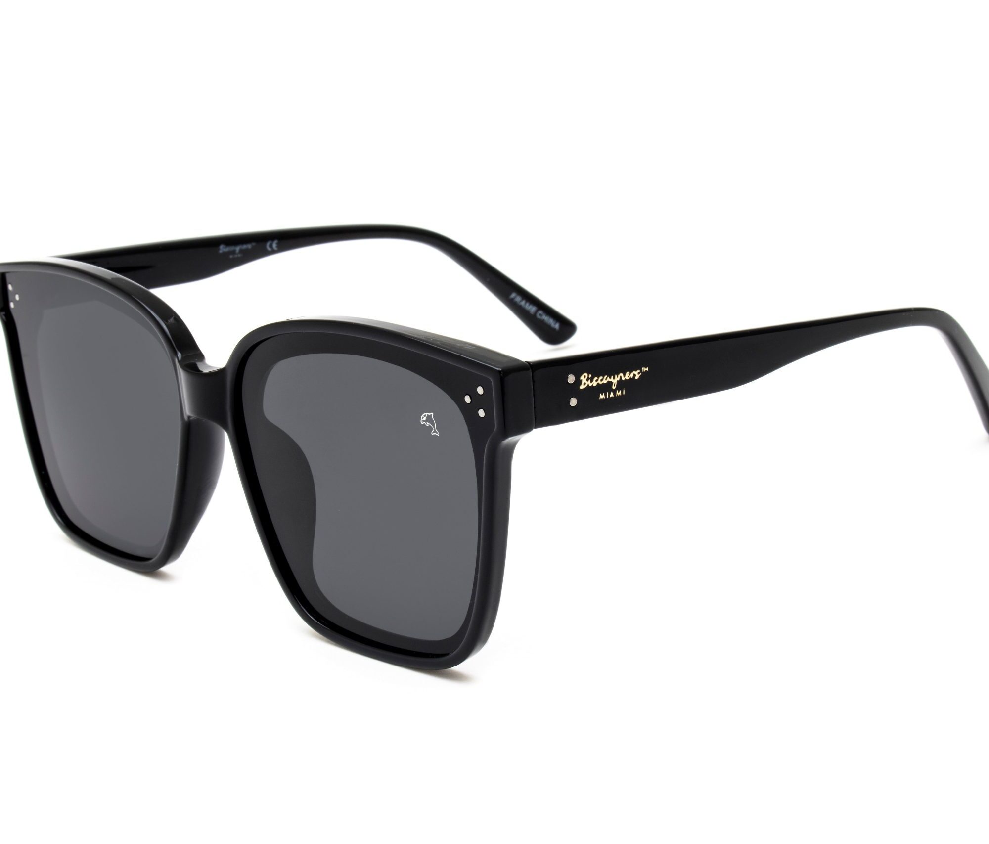 Biscayners Warren Black Sunglasses