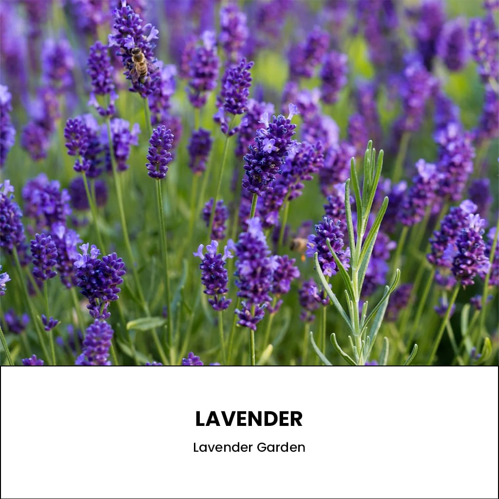 2 Diamond Mother/Daughter Reusable Coffee Mugs - Image 3