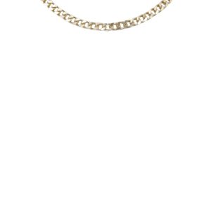 Curb Chain Choker Necklace