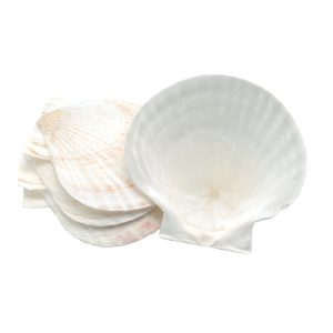 Nantucket Baking Shells 5 4/PBH