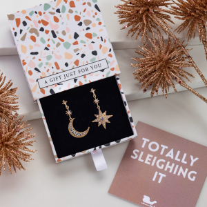 Don't AsK Cubic Zirconia Moon & Star Drop Earrings